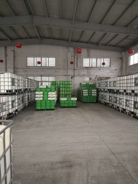 China Shenzhen Taiqiang Investment Holding Co., Ltd Perfil da companhia